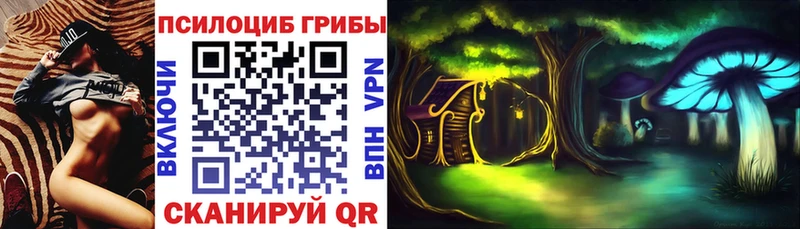 Псилоцибиновые грибы Cubensis Карпинск